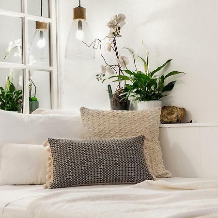 Trastevere Gem Cozy Light-Filled Retreat روما المظهر الخارجي الصورة